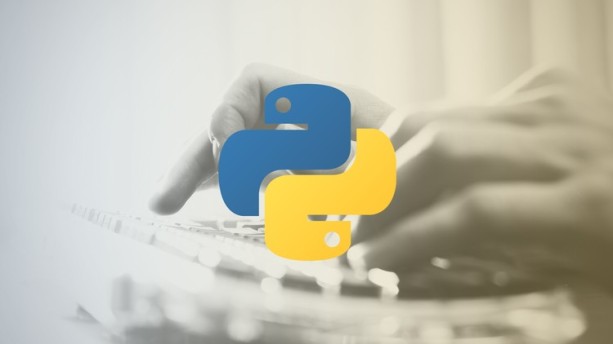 Why Is Python Here to Stay